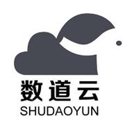 深耕数据价值，赋能企业转型 武汉数道云科技技术服务的探索与实践